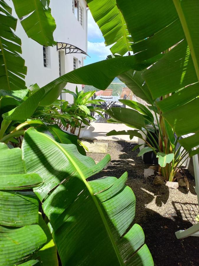 Le Damour Appartement 1 Ou 2 Chambres Les Anses-d'Arlets Esterno foto